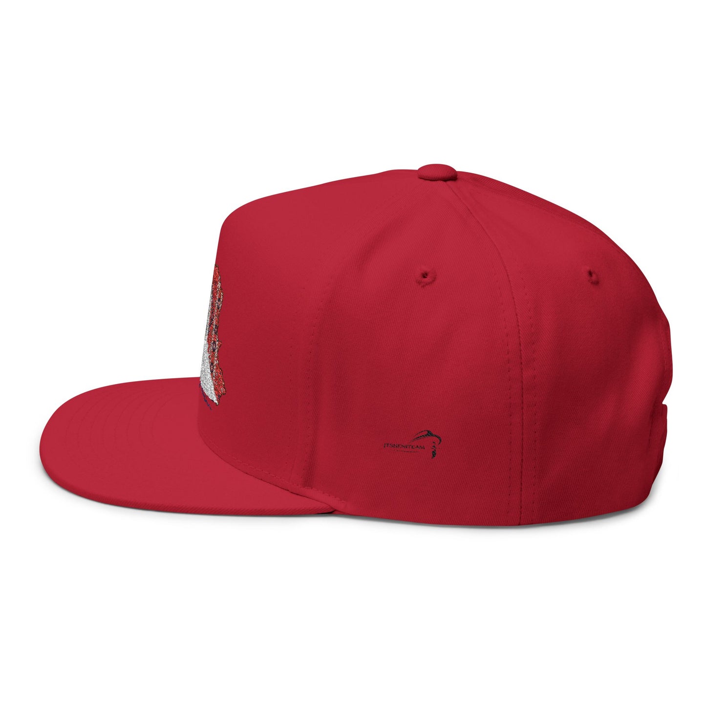 ItsBeniTeam™ | IRAN MAP | Persian Carpet & Azadi Tower | Premium Heritage Flat Bill Cap
