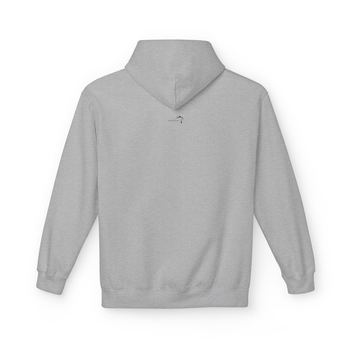 ItsBeniTeam™ | Lion of IRAN Hoodie – Minimal Persian Heritage Sweatshirt