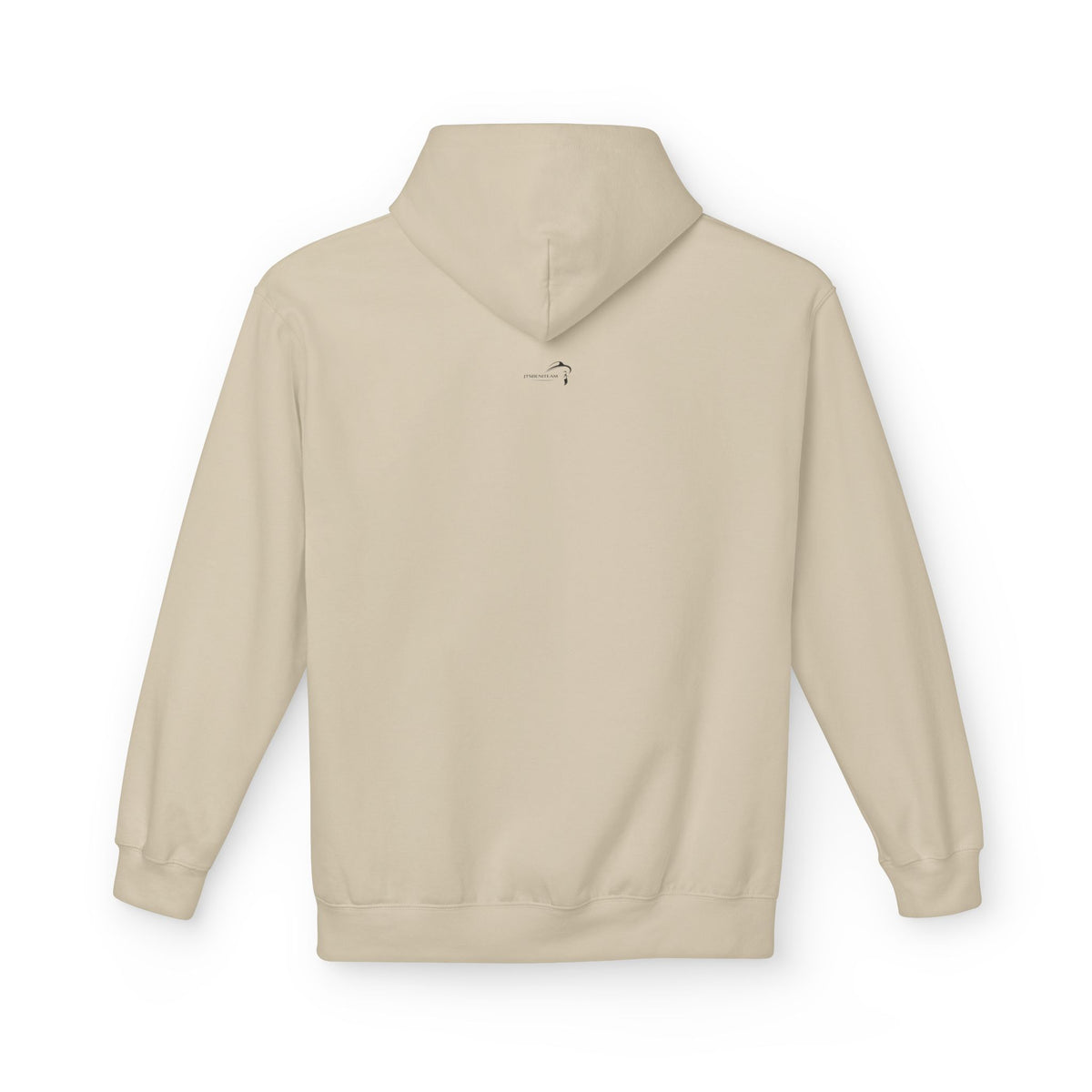 ItsBeniTeam™ | Lion of IRAN Hoodie – Minimal Persian Heritage Sweatshirt