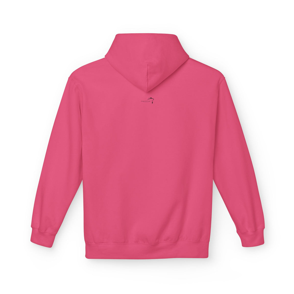 ItsBeniTeam™ | Lion of IRAN Hoodie – Minimal Persian Heritage Sweatshirt