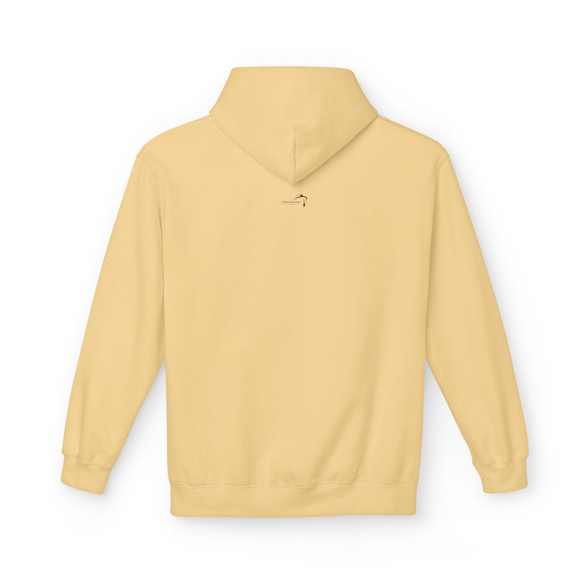 ItsBeniTeam™ | Lion of IRAN Hoodie – Minimal Persian Heritage Sweatshirt