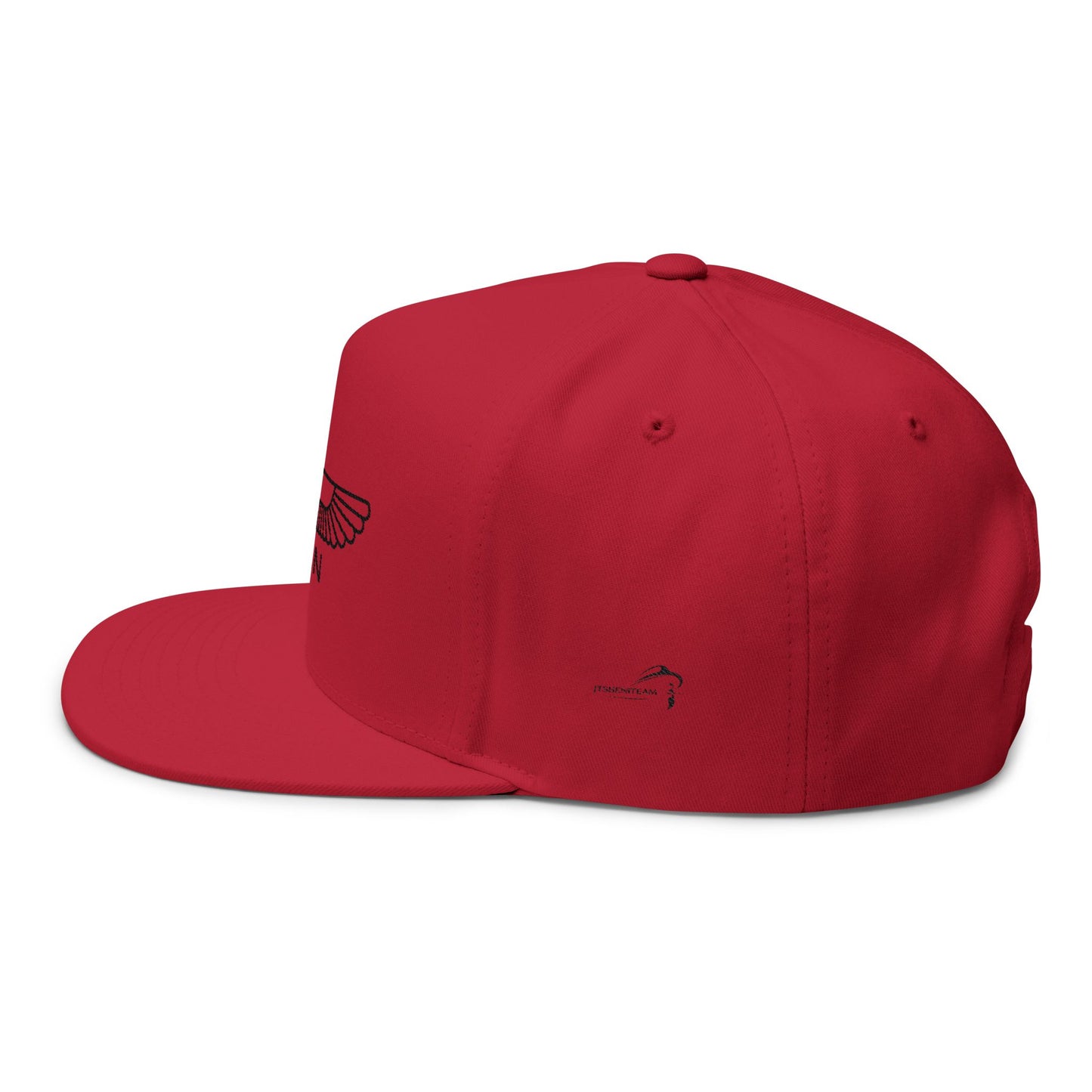 ItsBeniTeam™ | Lion of IRAN | Premium Heritage Flat Bill Cap