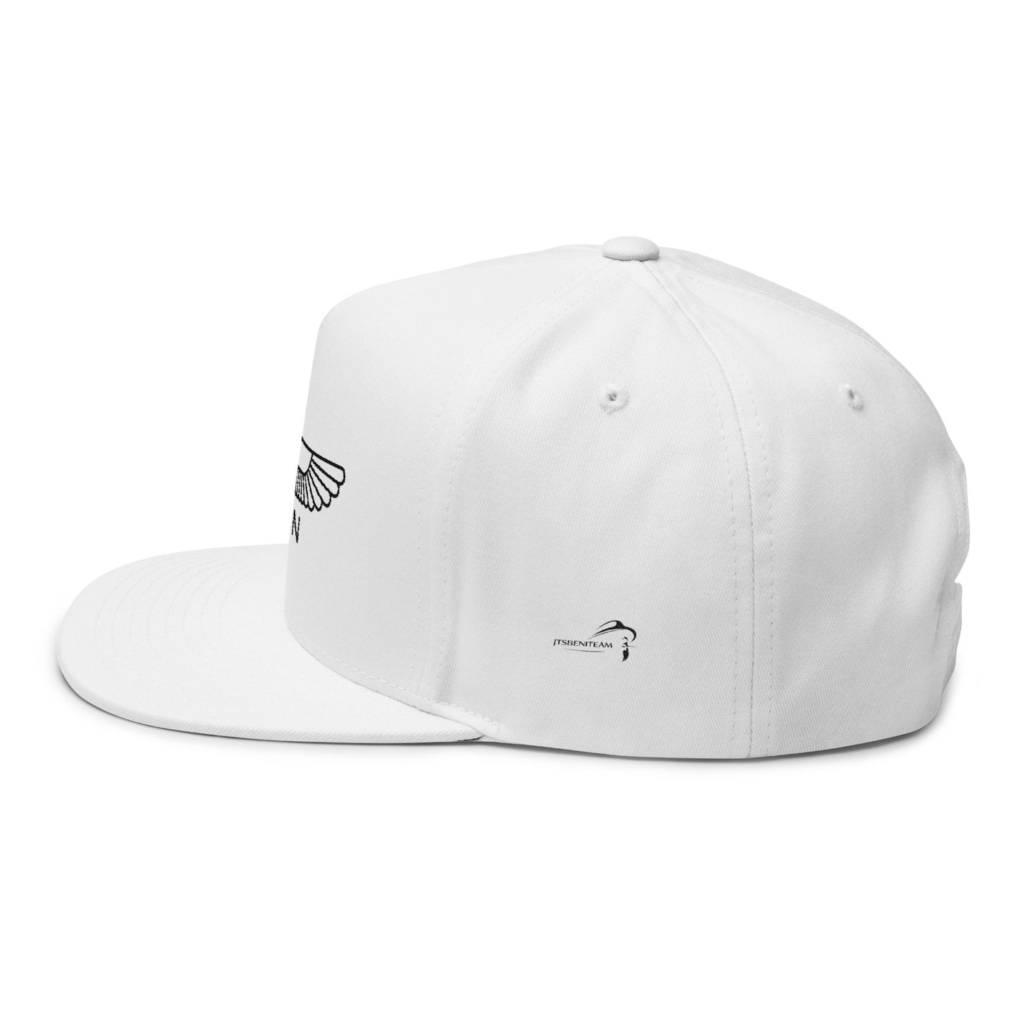 ItsBeniTeam™ | Lion of IRAN | Premium Heritage Flat Bill Cap
