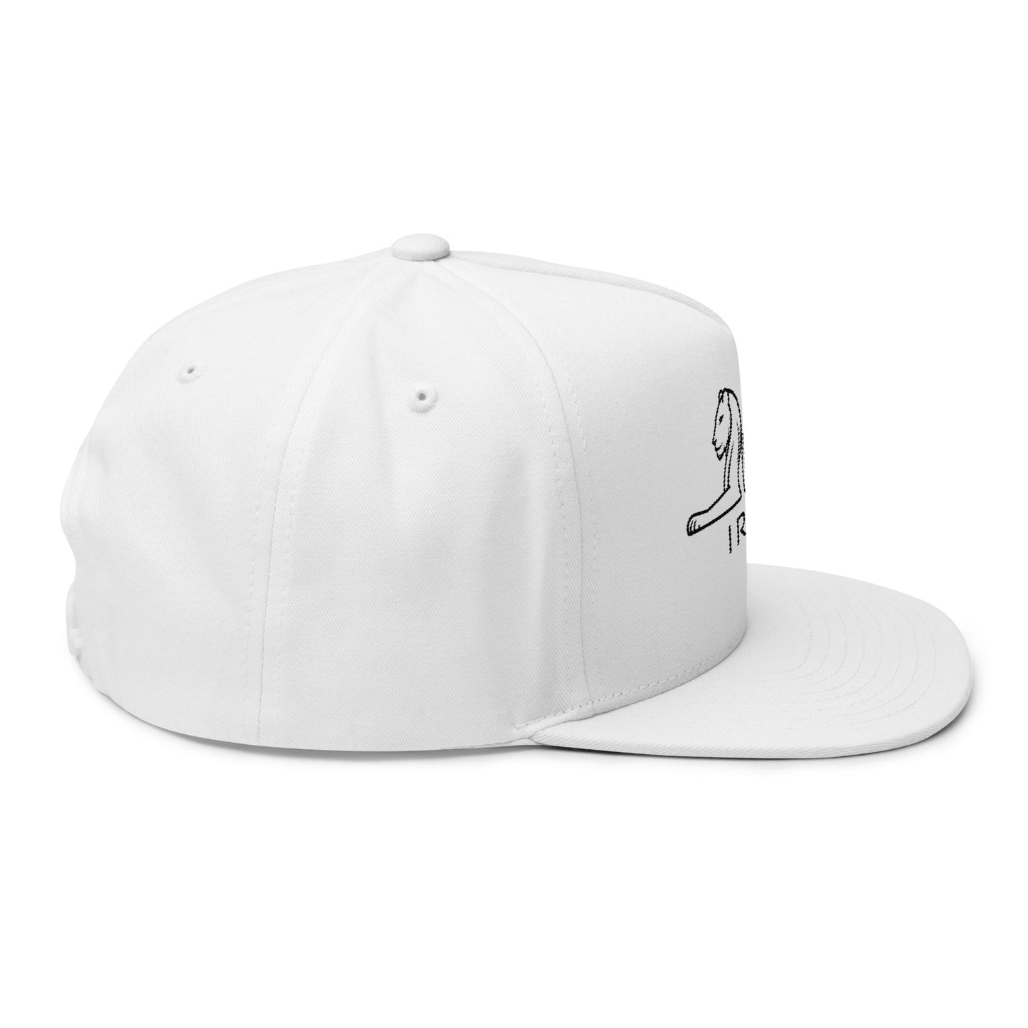 ItsBeniTeam™ | Lion of IRAN | Premium Heritage Flat Bill Cap