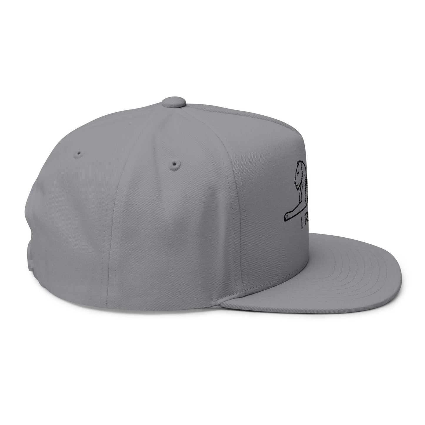 ItsBeniTeam™ | Lion of IRAN | Premium Heritage Flat Bill Cap