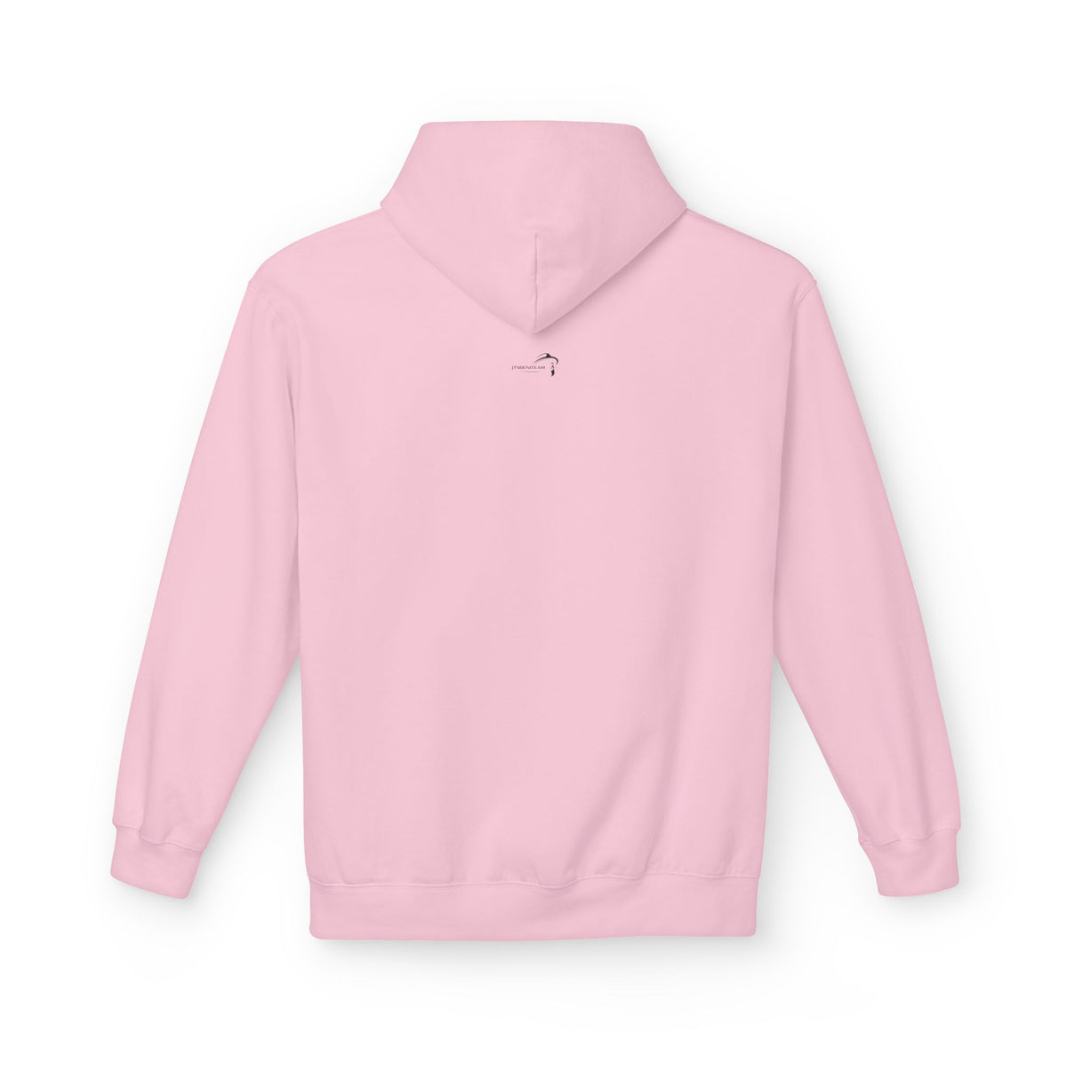ItsBeniTeam™ | Lion of IRAN Hoodie – Minimal Persian Heritage Sweatshirt