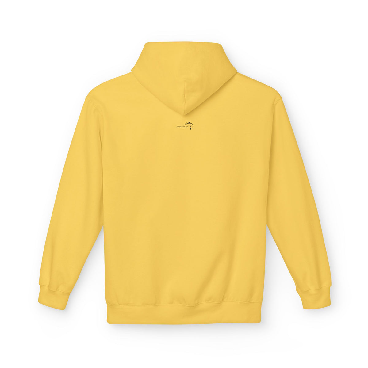 ItsBeniTeam™ | Lion of IRAN Hoodie – Minimal Persian Heritage Sweatshirt