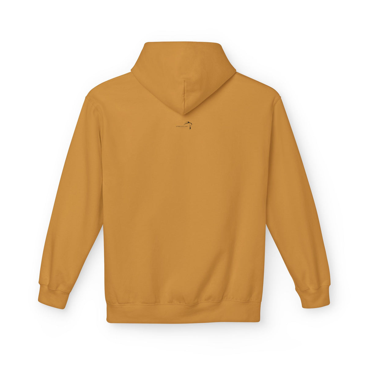 ItsBeniTeam™ | Lion of IRAN Hoodie – Minimal Persian Heritage Sweatshirt
