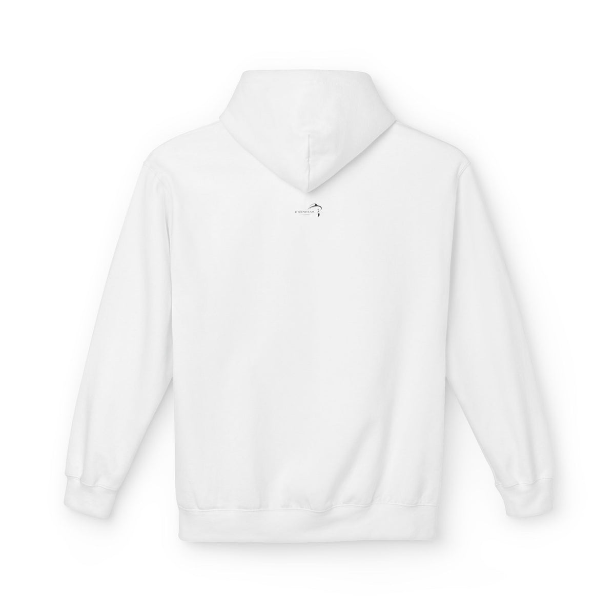 ItsBeniTeam™ | Lion of IRAN Hoodie – Minimal Persian Heritage Sweatshirt