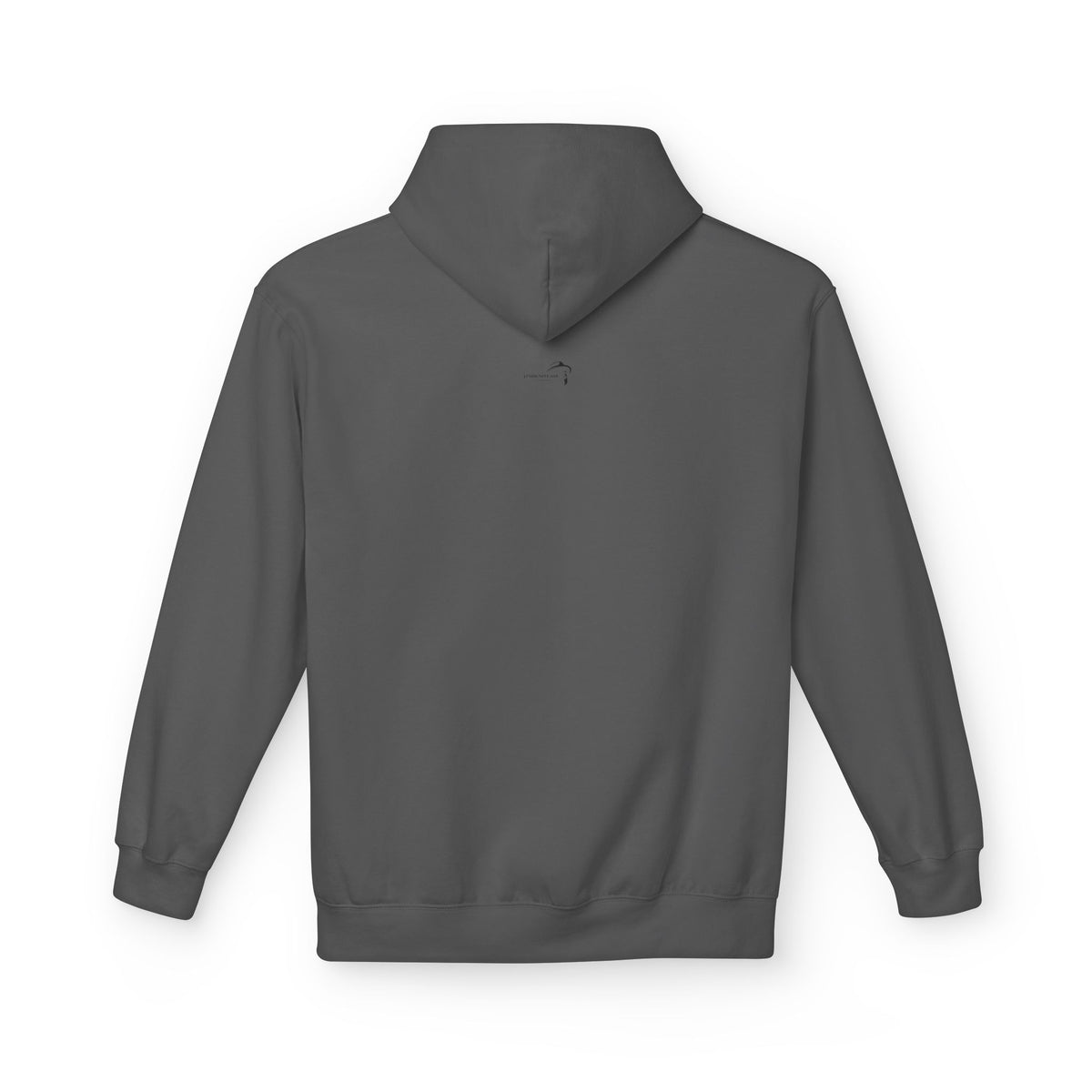 ItsBeniTeam™ | Lion of IRAN Hoodie – Minimal Persian Heritage Sweatshirt