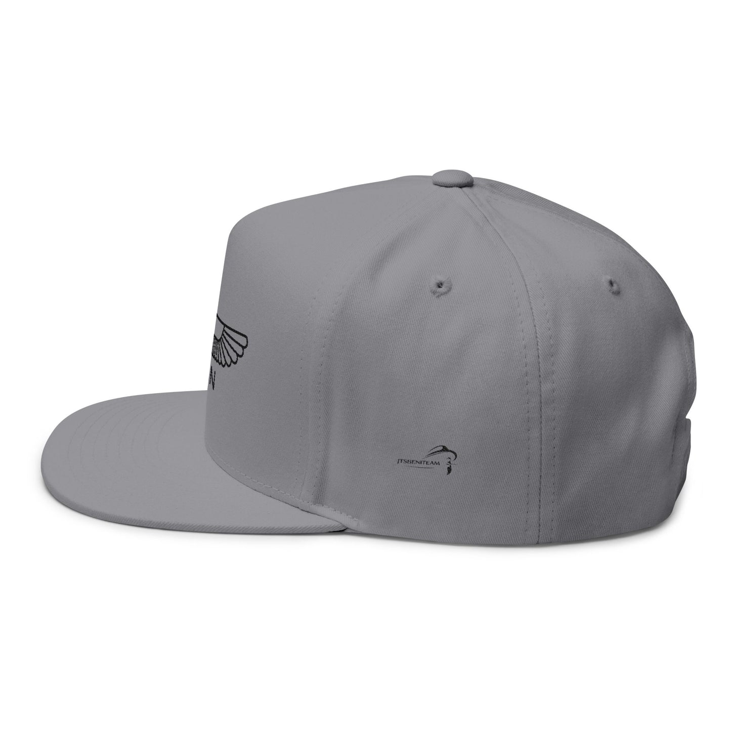 ItsBeniTeam™ | Lion of IRAN | Premium Heritage Flat Bill Cap