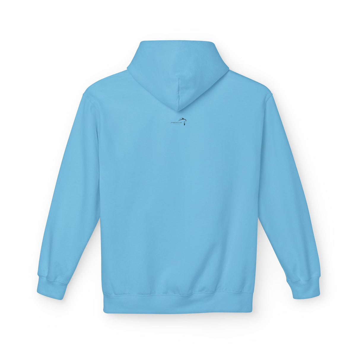ItsBeniTeam™ | Lion of IRAN Hoodie – Minimal Persian Heritage Sweatshirt